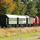 Sonderfahrt Heide-Express Winsen-Niedermarschacht II