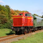 Sonderfahrt Heide-Express Winsen-Niedermarschacht III