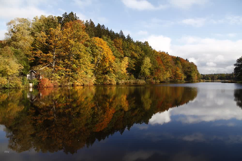 Sonderhamer Weiher