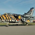 Sonderlackierung des "Tiger Tornados 2011" vom JaboG 32 in Lechfeld