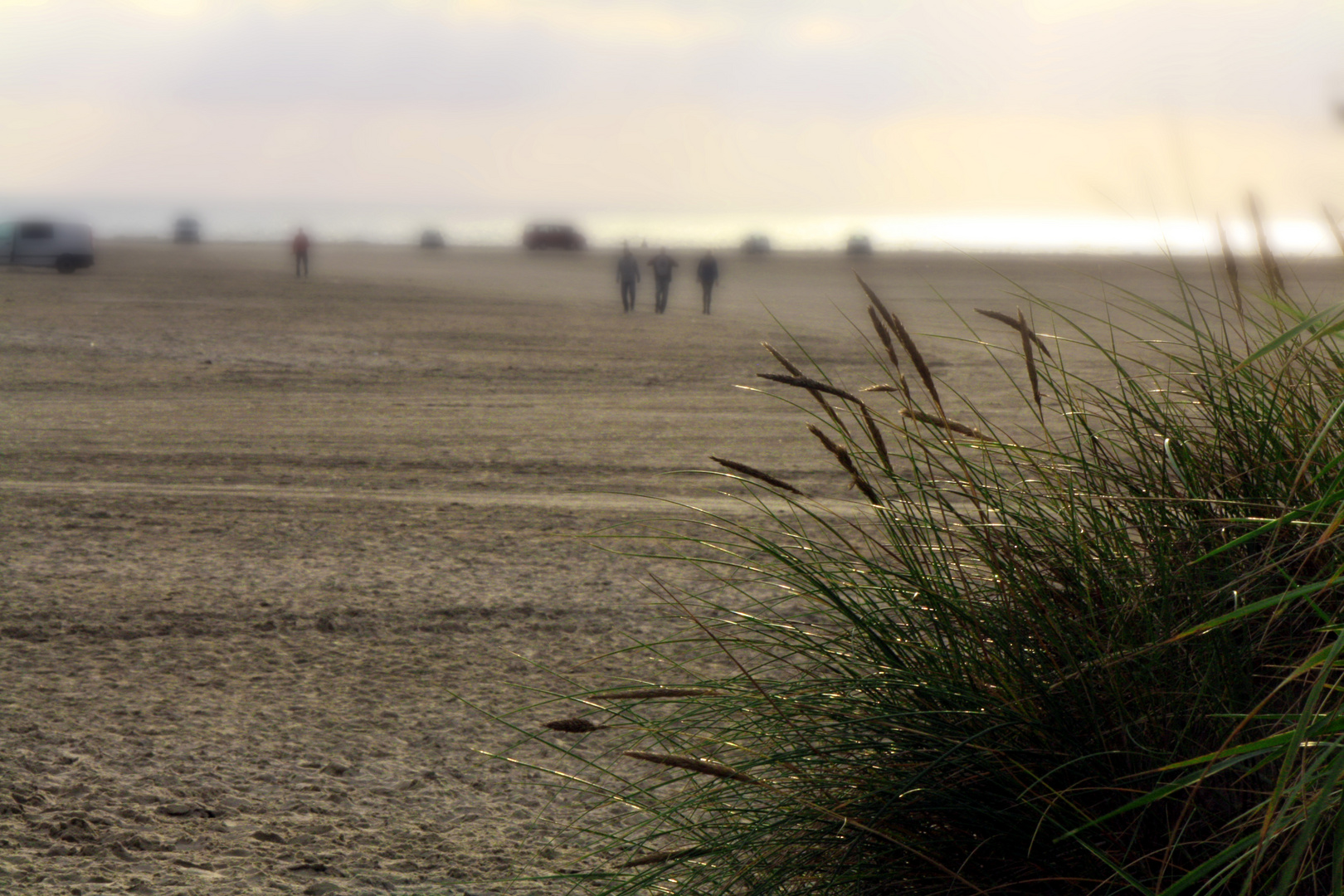 Sonderstrand