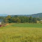 Sonderzüge im Böhmischen Paradies