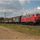 Sonderzug  BR-Radltour mit BR 218