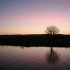 Sonenaufgang an der Mosel (Luxemburg)