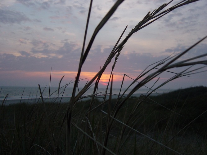 Sonenuntergang am Meer