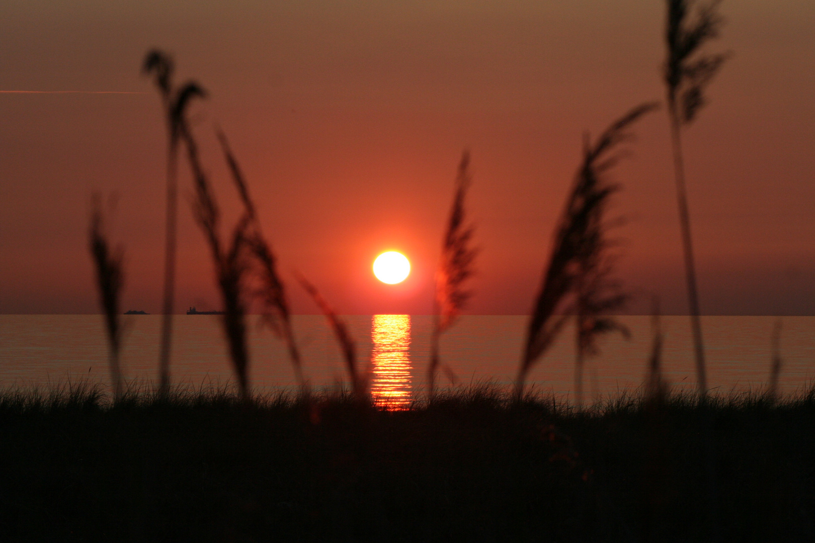 Sonenuntergang in Wustrow