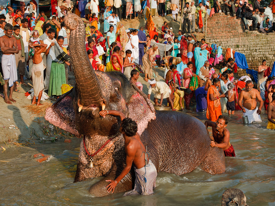 Sonepur Mela (01)