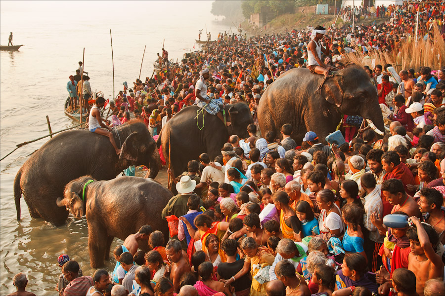 Sonepur Mela (04)