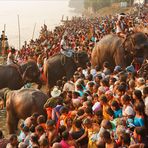 Sonepur Mela (04)