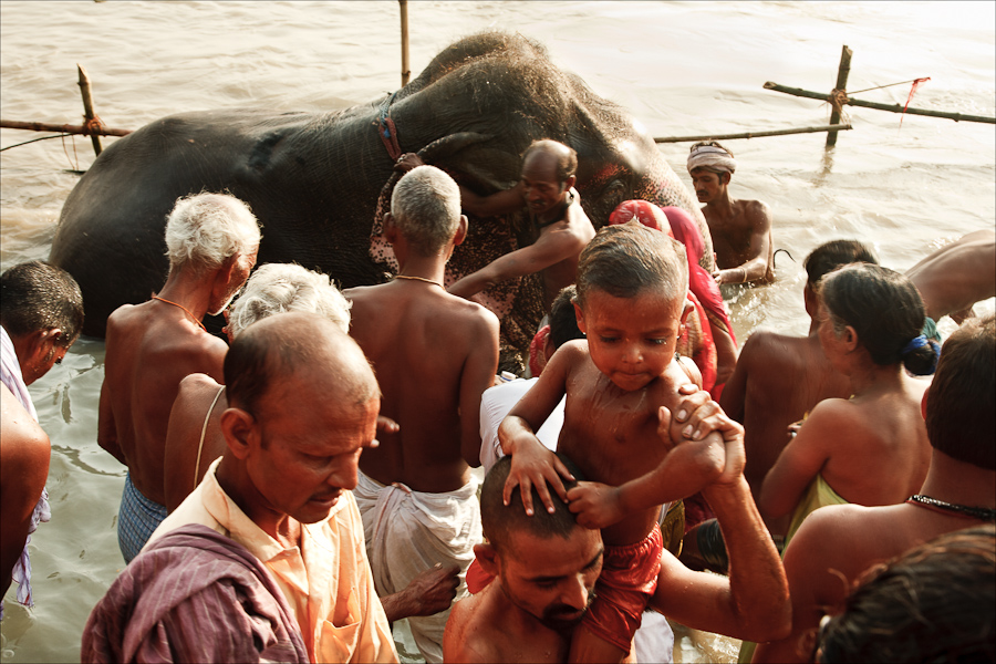 Sonepur Mela (05)