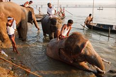 Sonepur Mela (09)