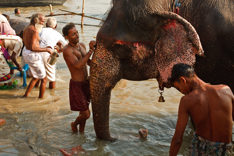 Sonepur Mela (11)