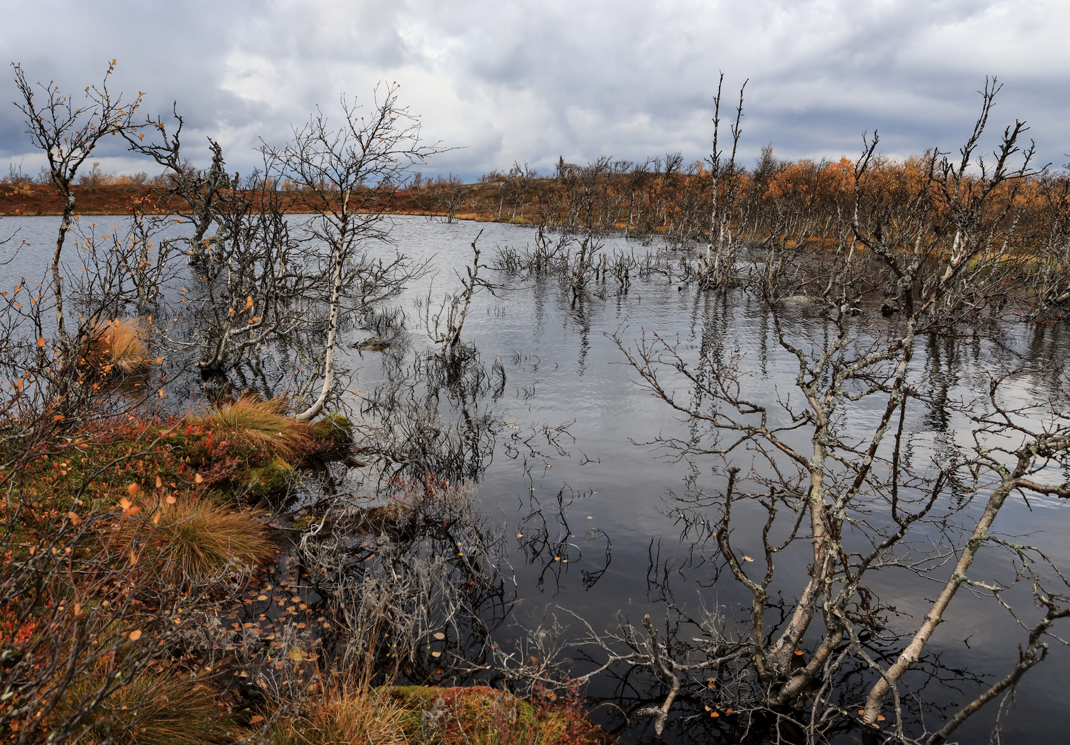 Sonfjaellet NP