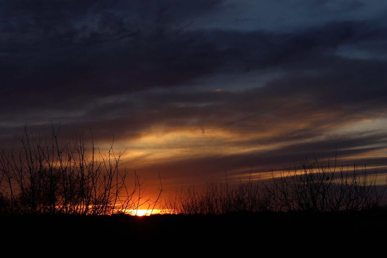 Songes & Rêves d'un Soir....