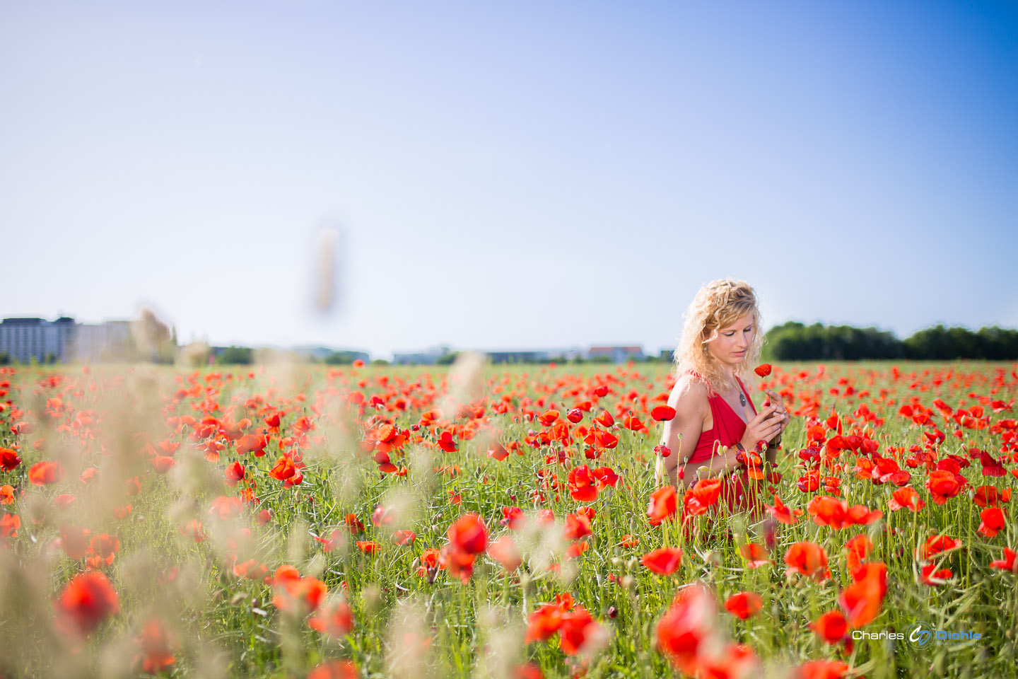 Sonja im Mohnblumenfeld