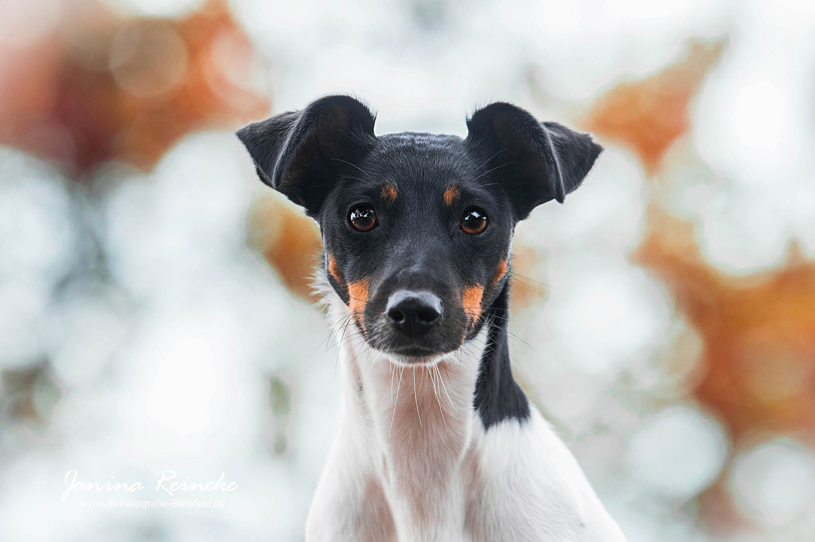 Sonja im Portrait