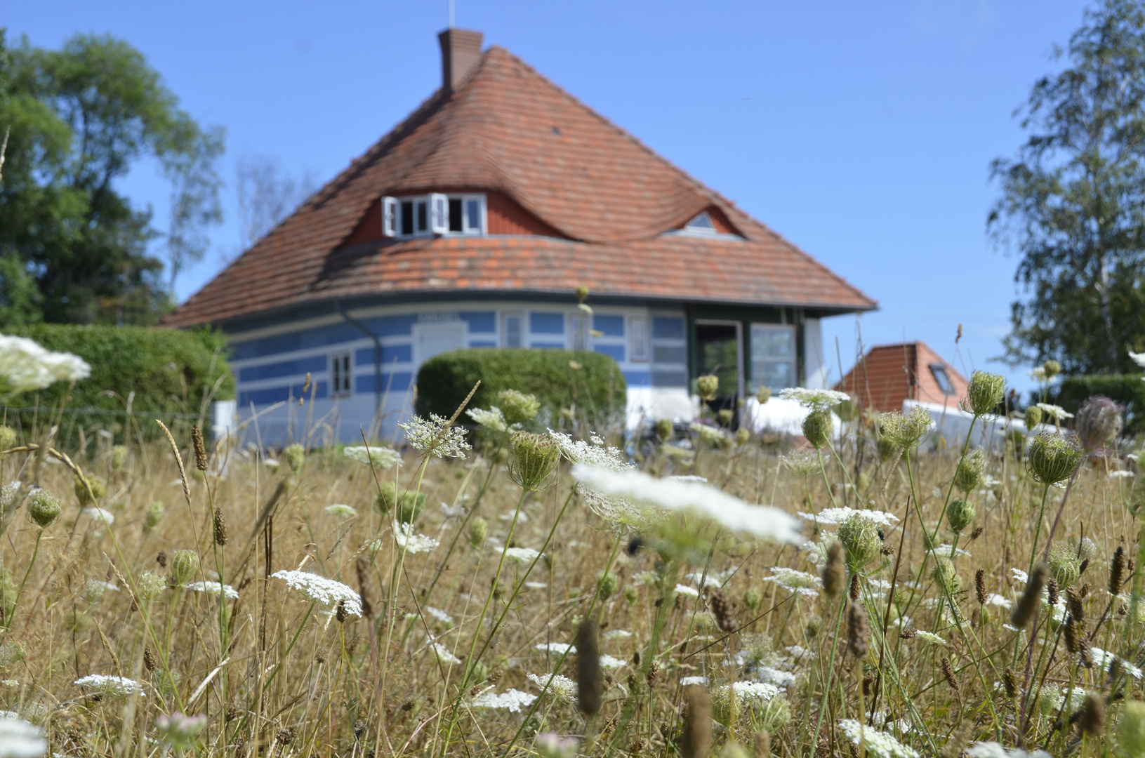 Sonmer auf Hiddensee 