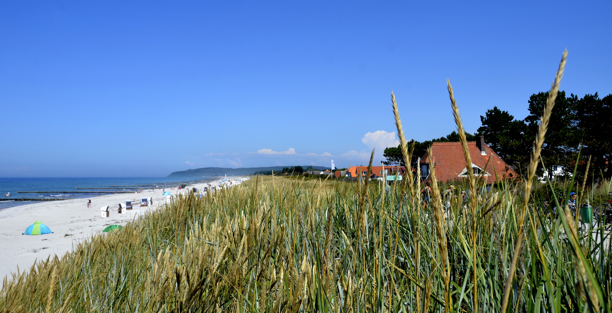 Sonmer auf Hiddensee 