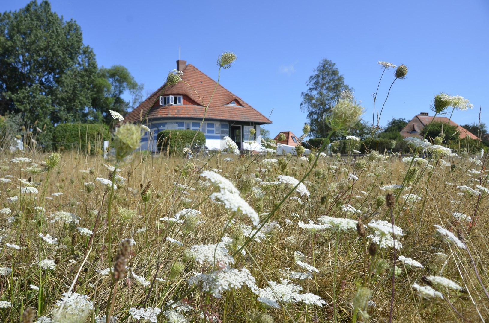 Sonmer auf Hiddensee 