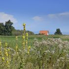 Sonmer auf Hiddensee 