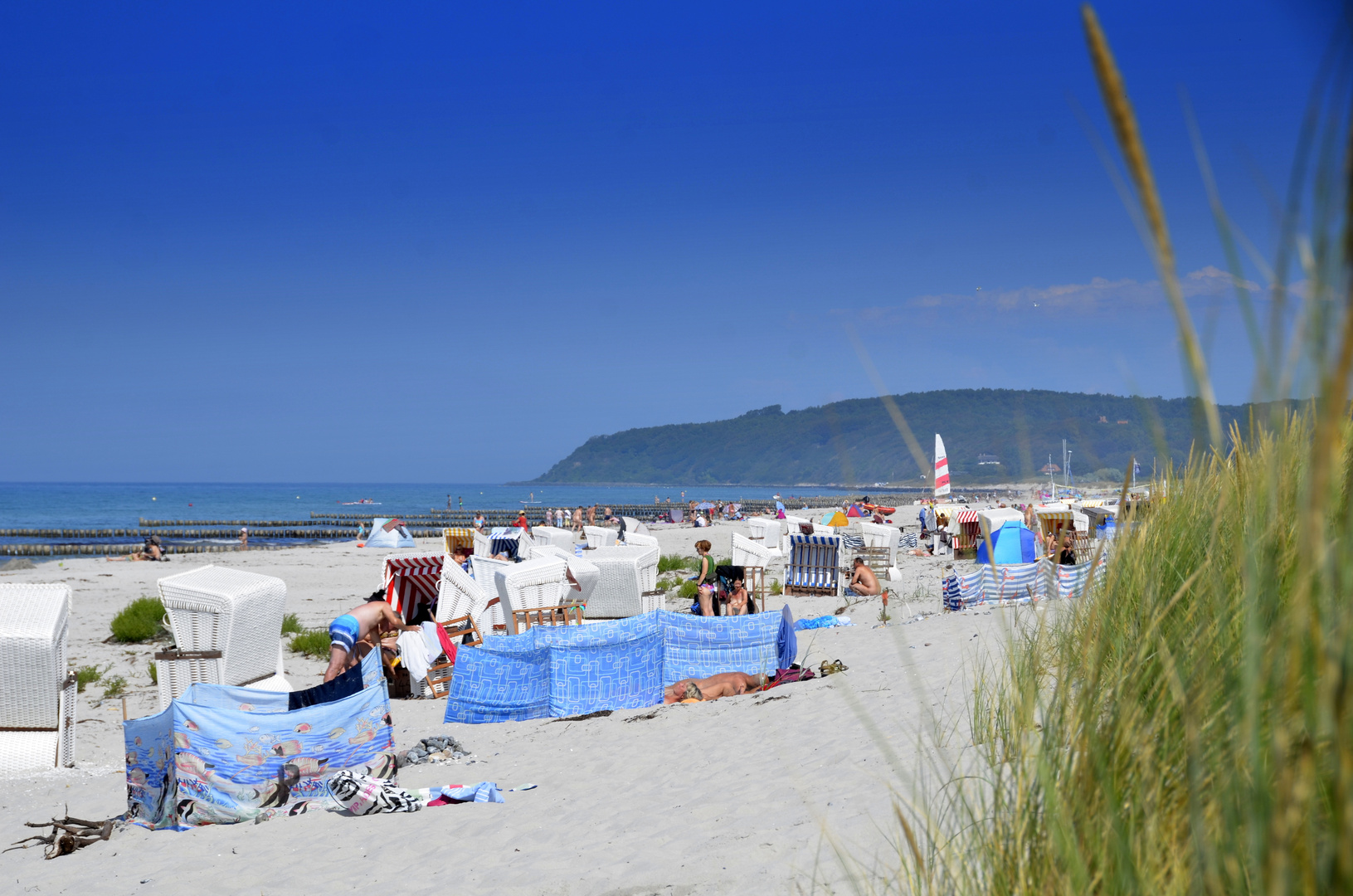 Sonmer auf Hiddensee 