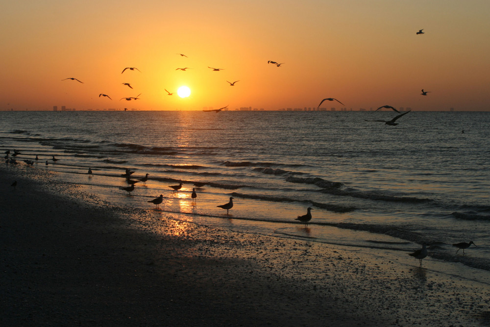 Sonnaufgang auf Sanibel