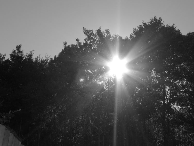 Sonne :)