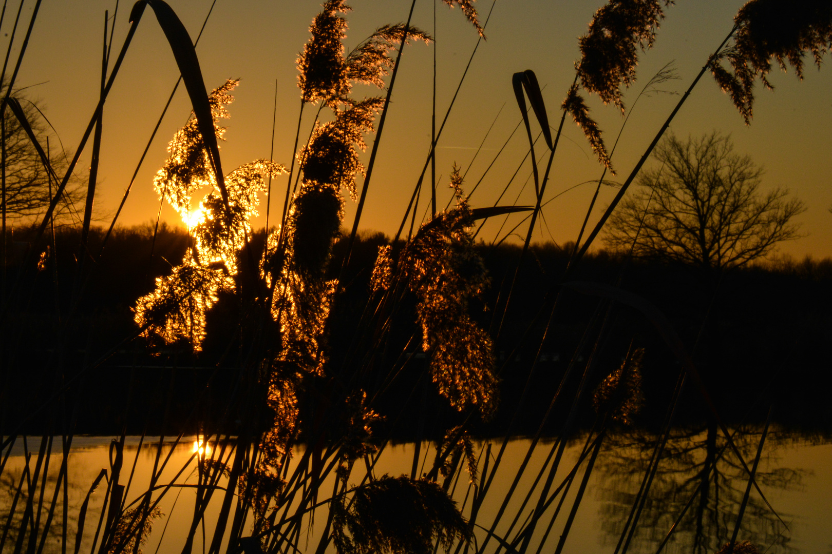 Sonne am Abend