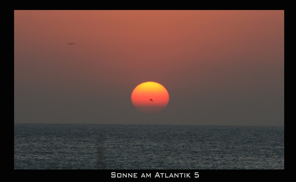 Sonne am Atlantik 5