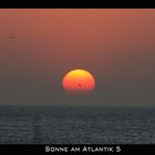 Sonne am Atlantik 5