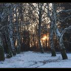 Sonne am Birkenweg