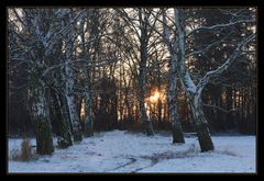 Sonne am Birkenweg