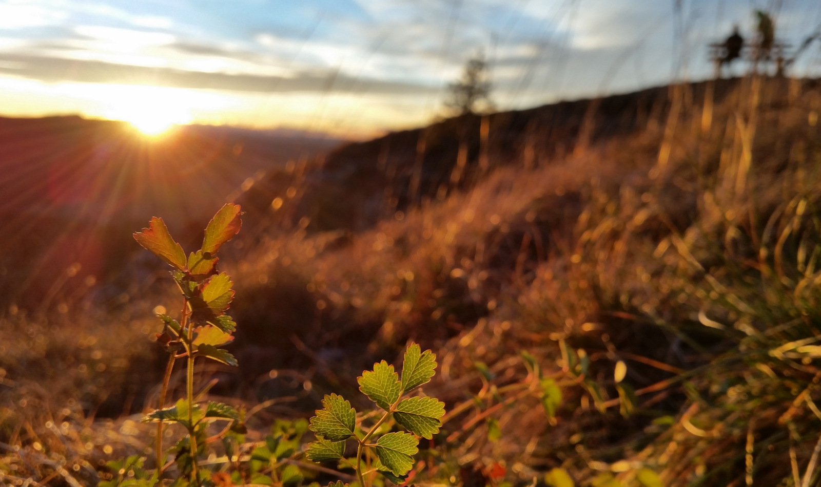 Sonne am Böllat