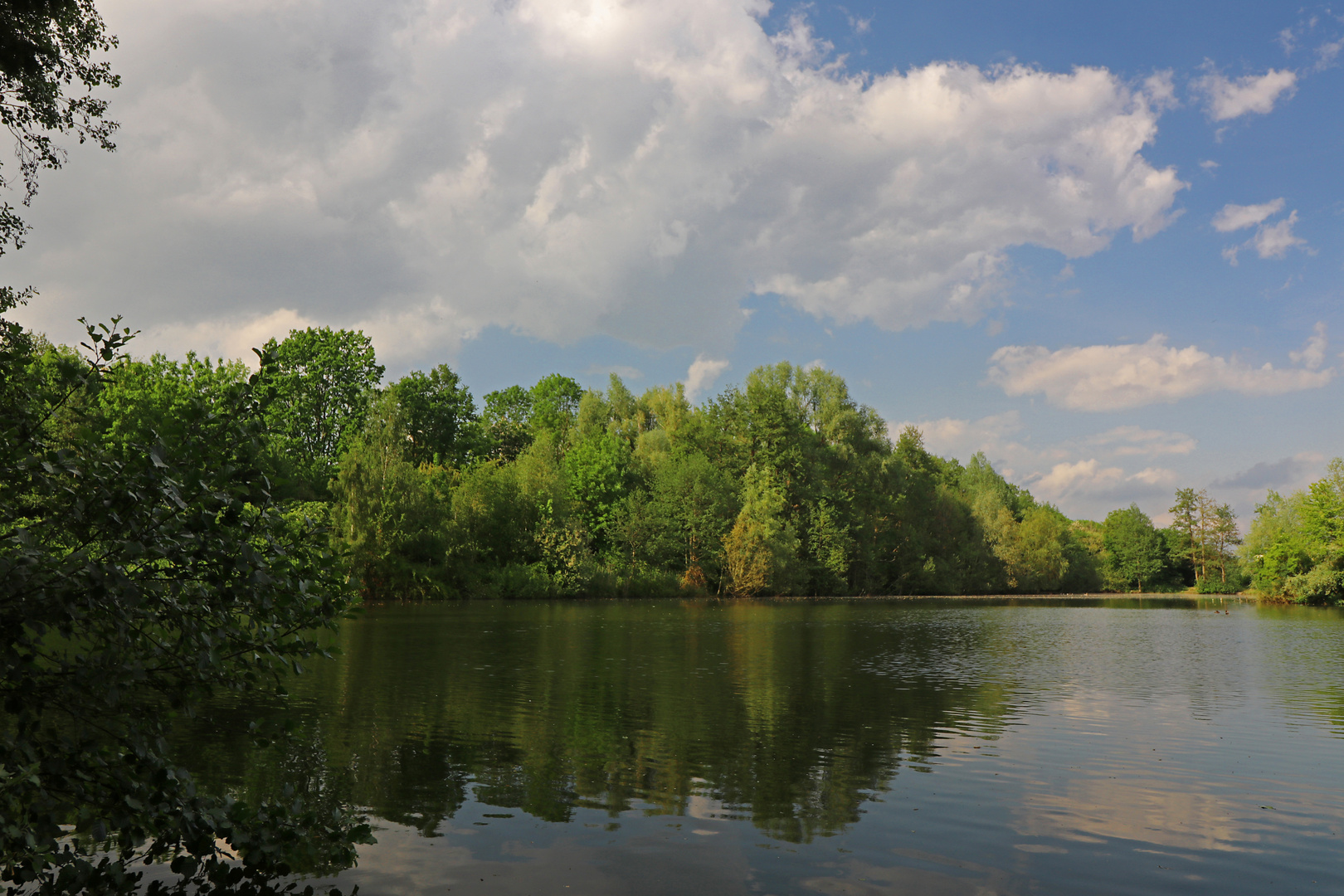 Sonne am Fischteich