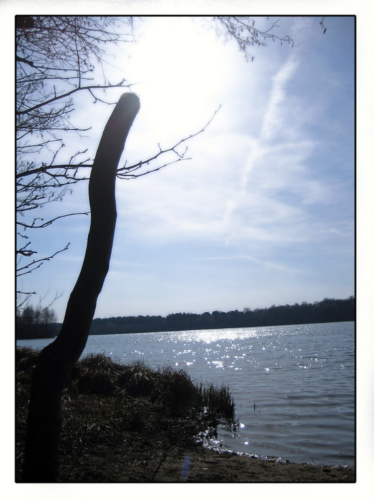 Sonne am Heidesee