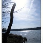 Sonne am Heidesee