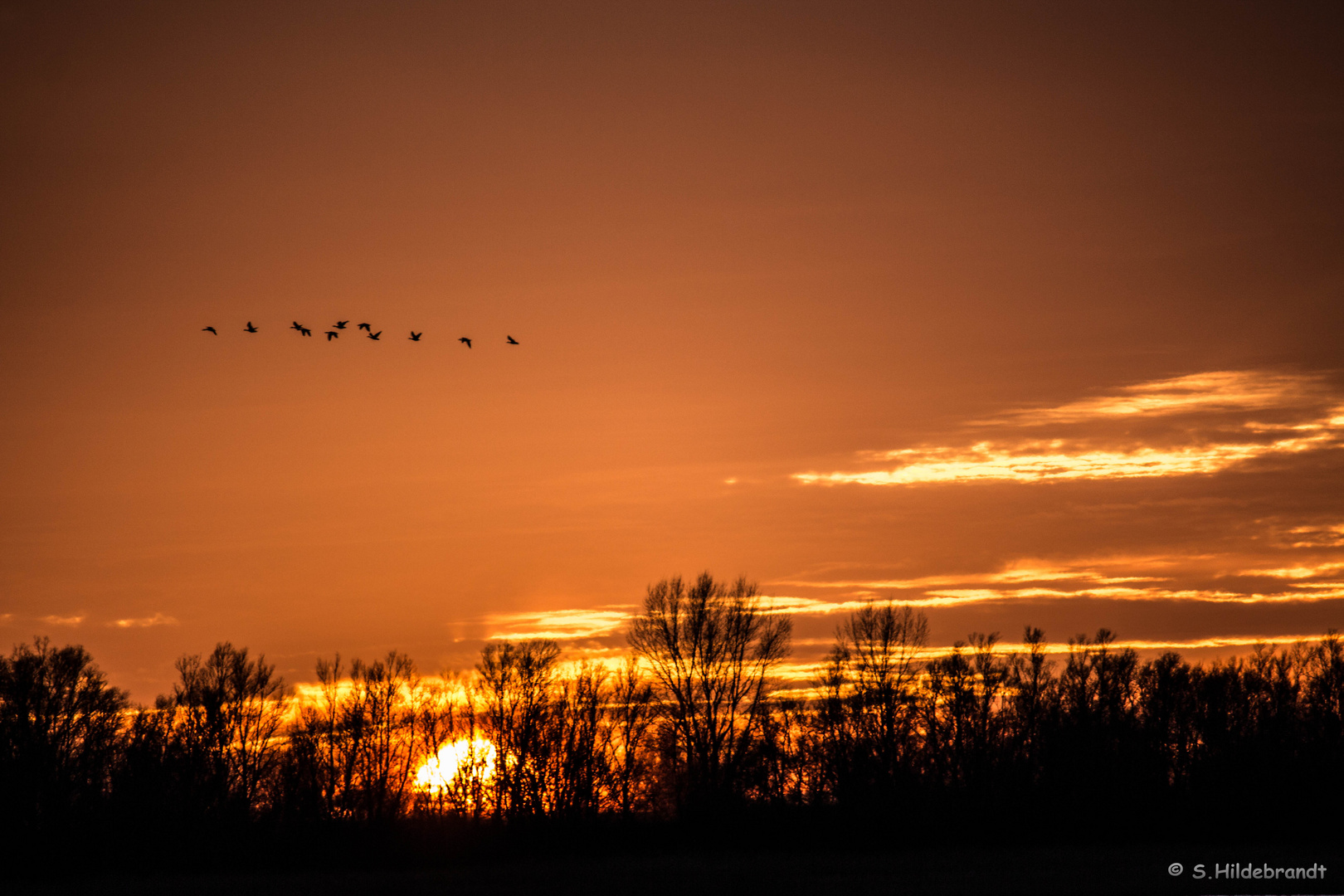 Sonne am Horizont