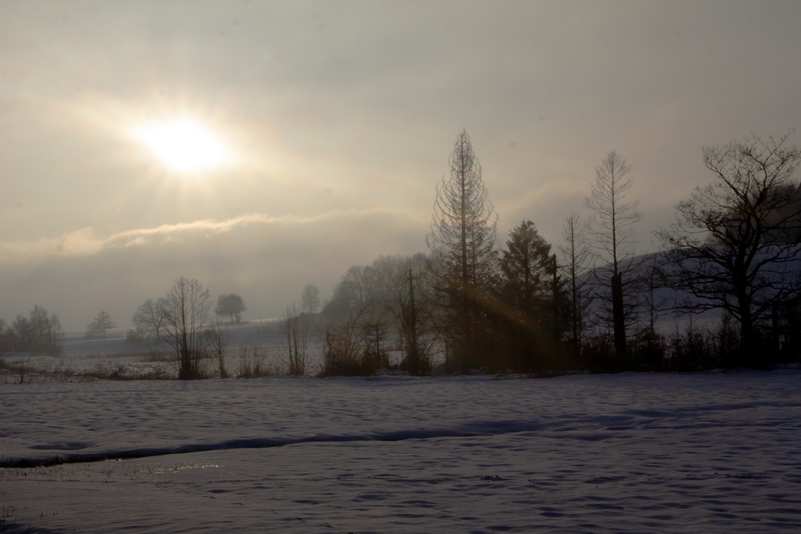 Sonne am kämpfen