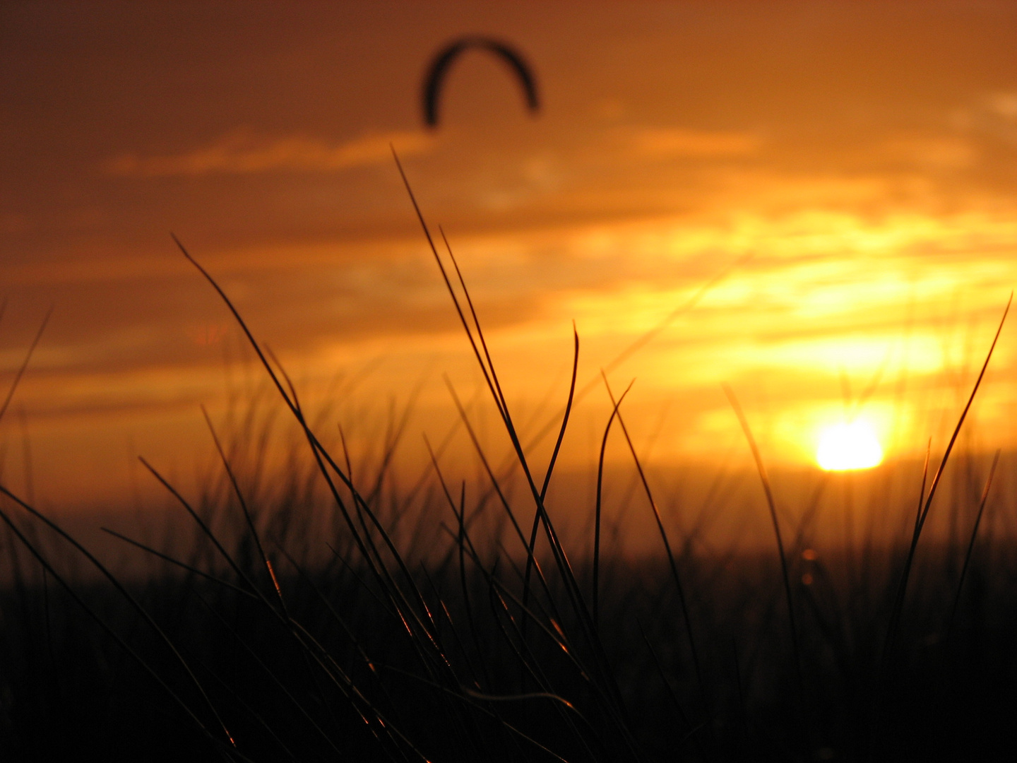 Sonne am Meer