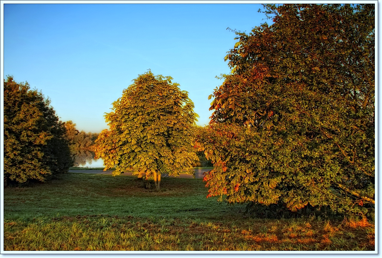 Sonne am Morgen