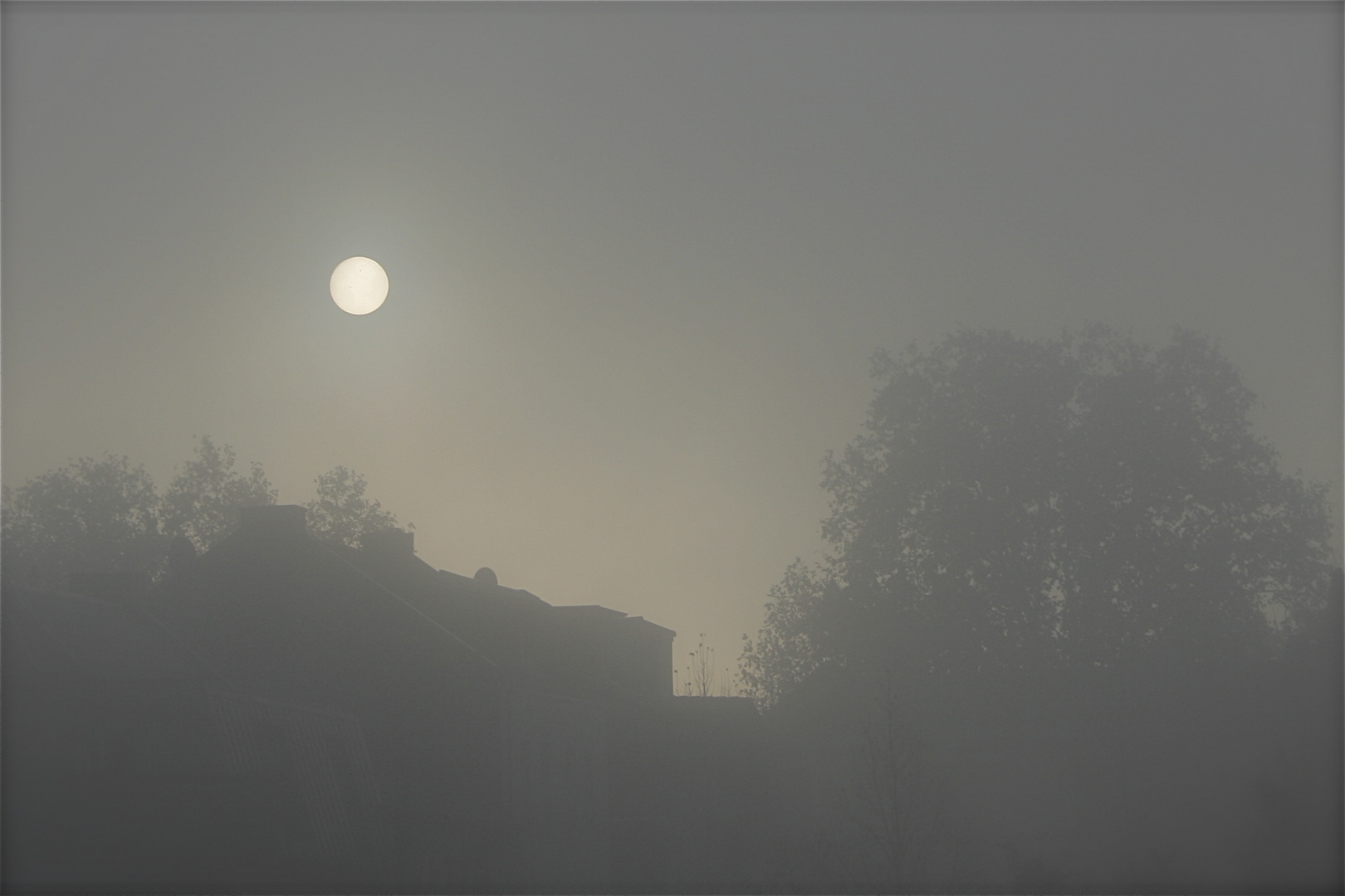 Sonne am Morgen im Nebel