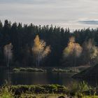 Sonne am Riedsee