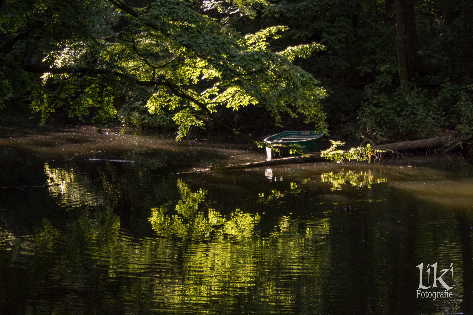 Sonne am See 