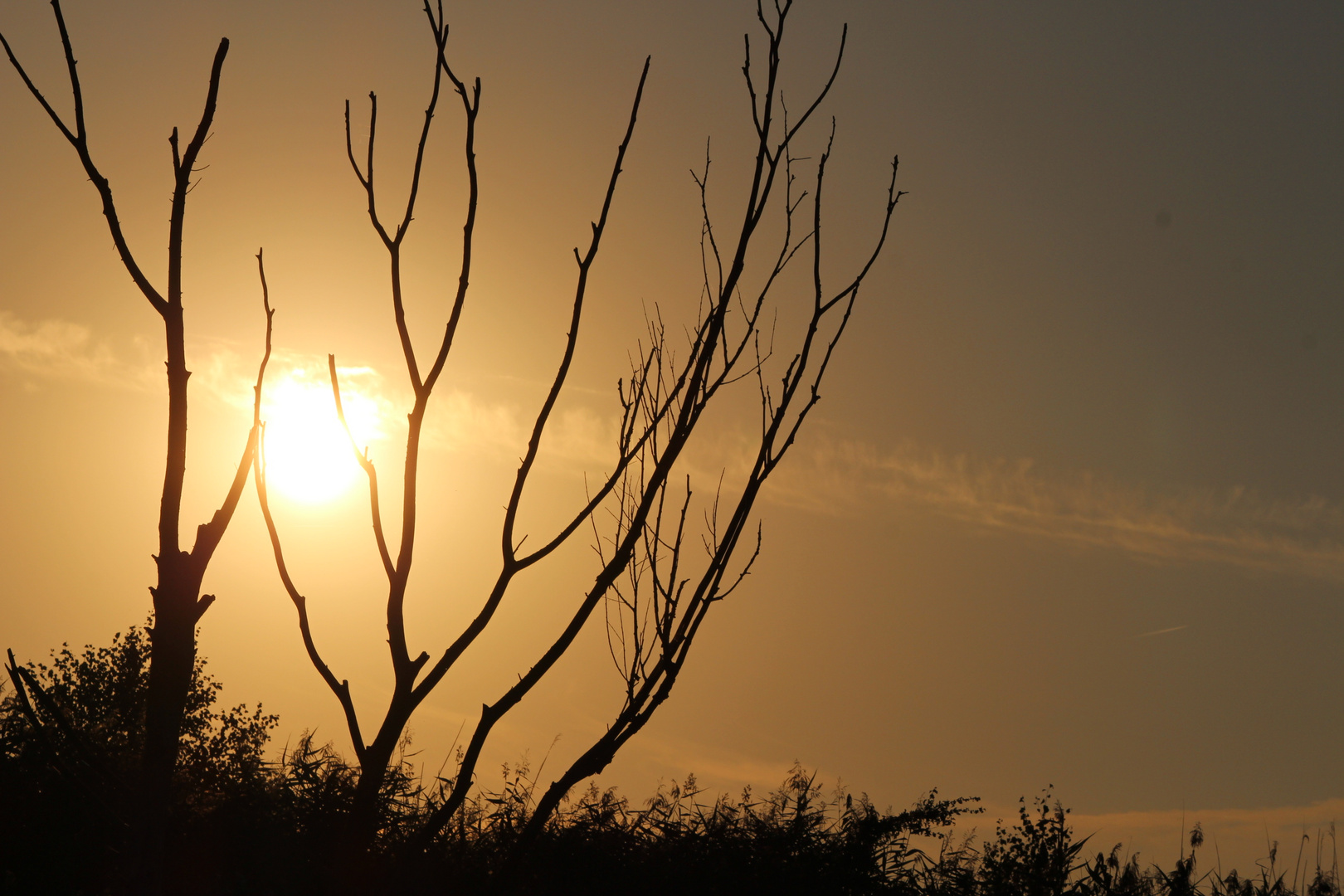 Sonne am Sommerabend