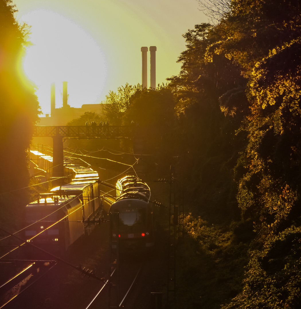 Sonne am Südring (3 von 3)