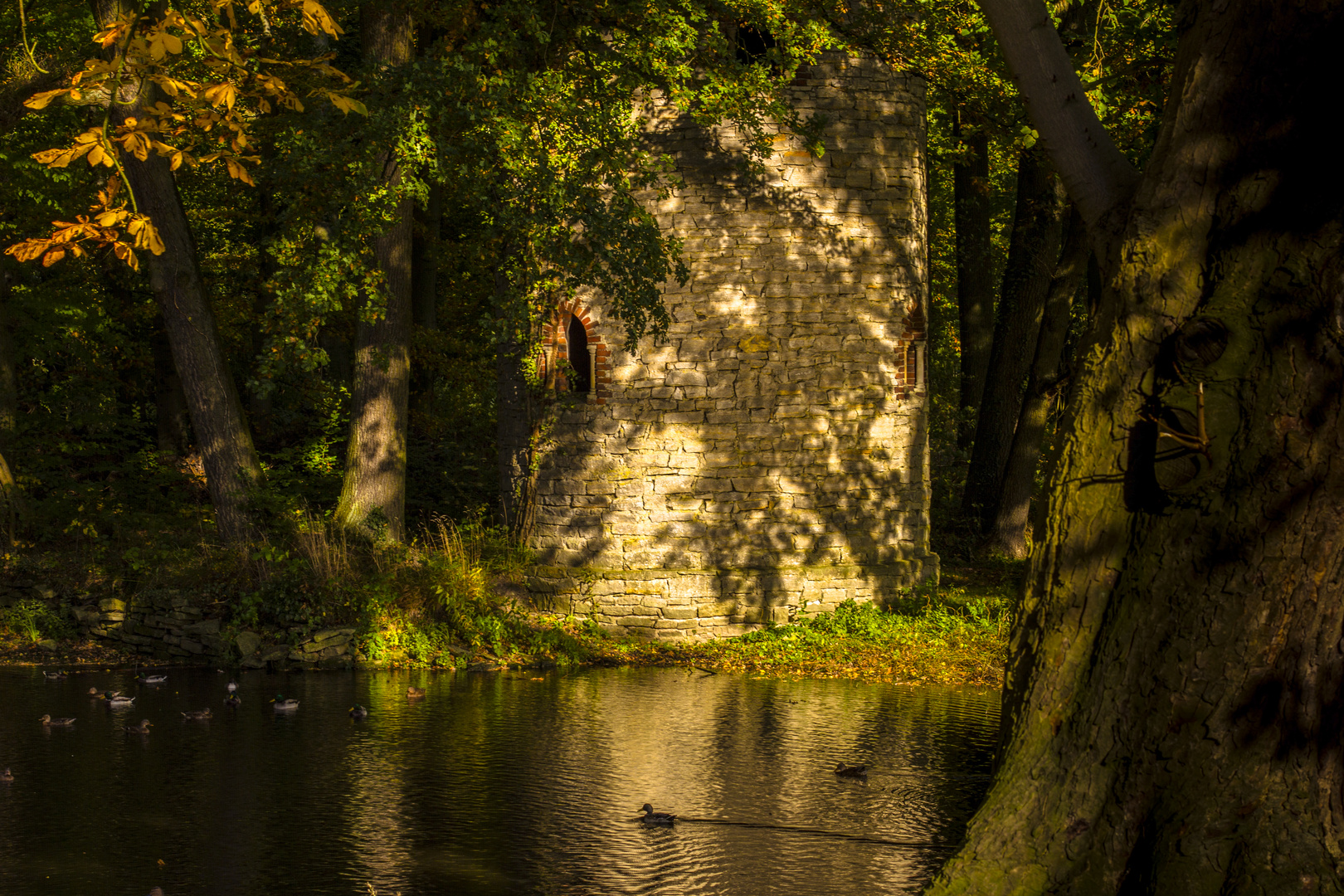 Sonne am Teich #2