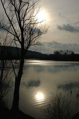 Sonne am Teich