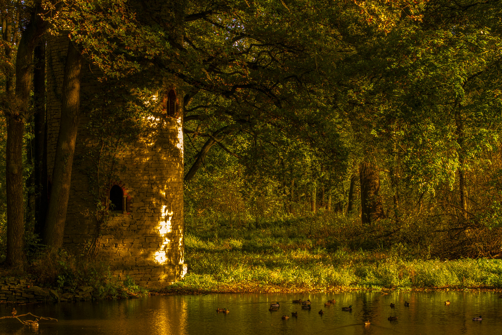 Sonne am Teich