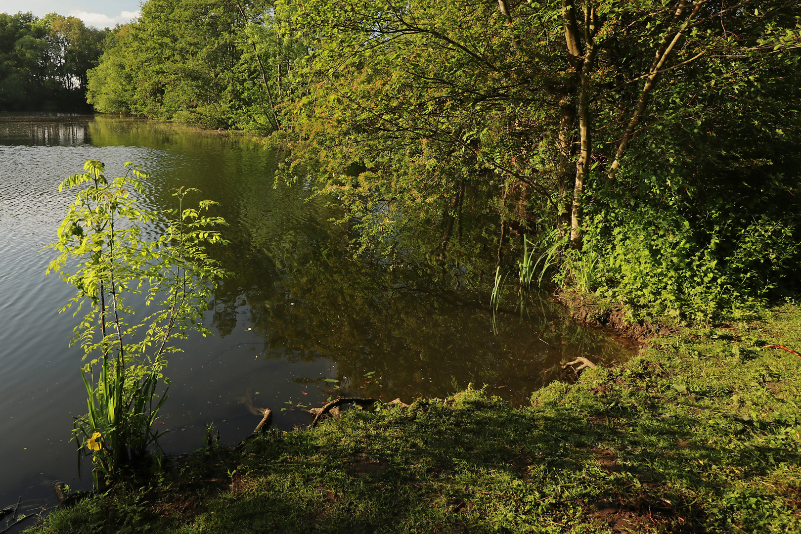 Sonne am Ufer