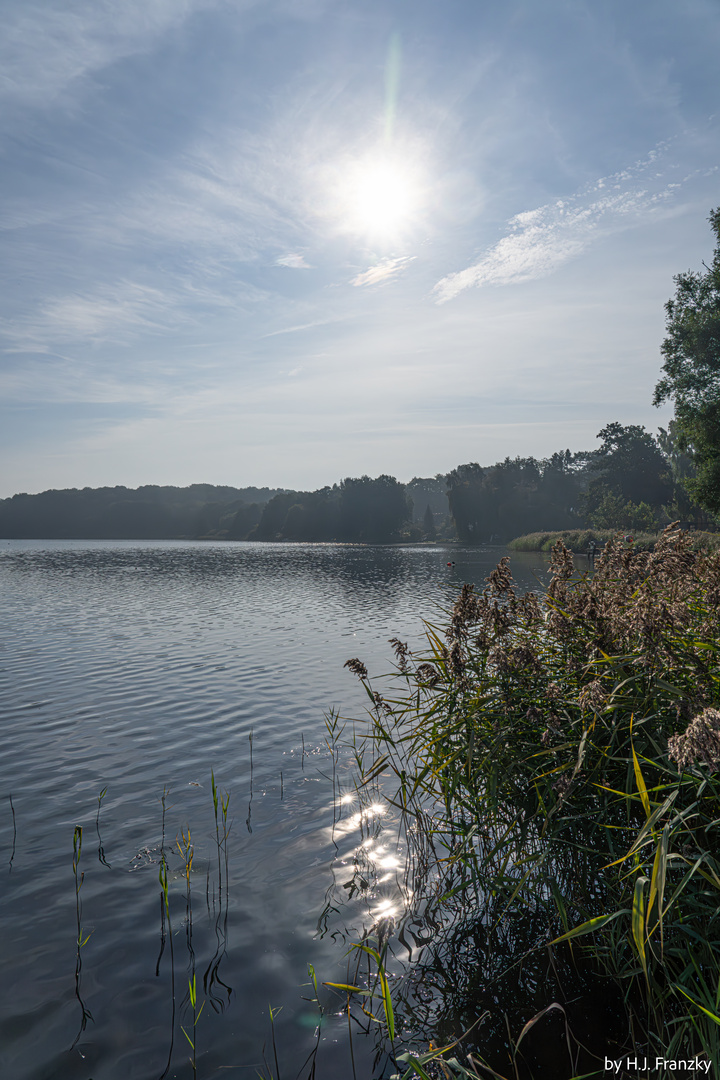 Sonne am Westensee